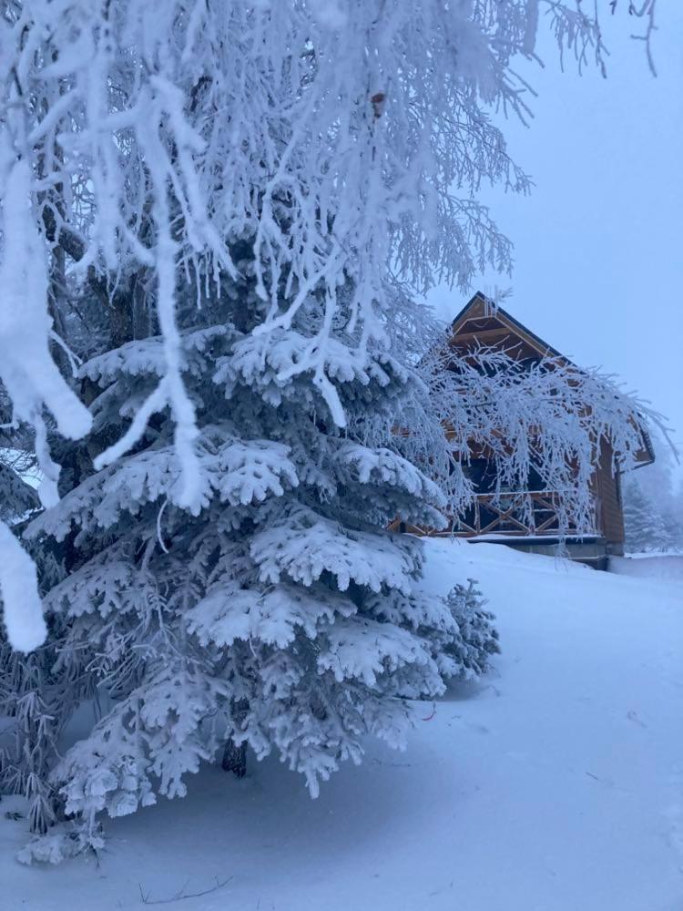 Nartorama Zieleniec Chalet